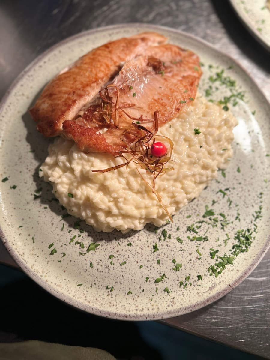 Salmão com risoto servido no Zin Bar